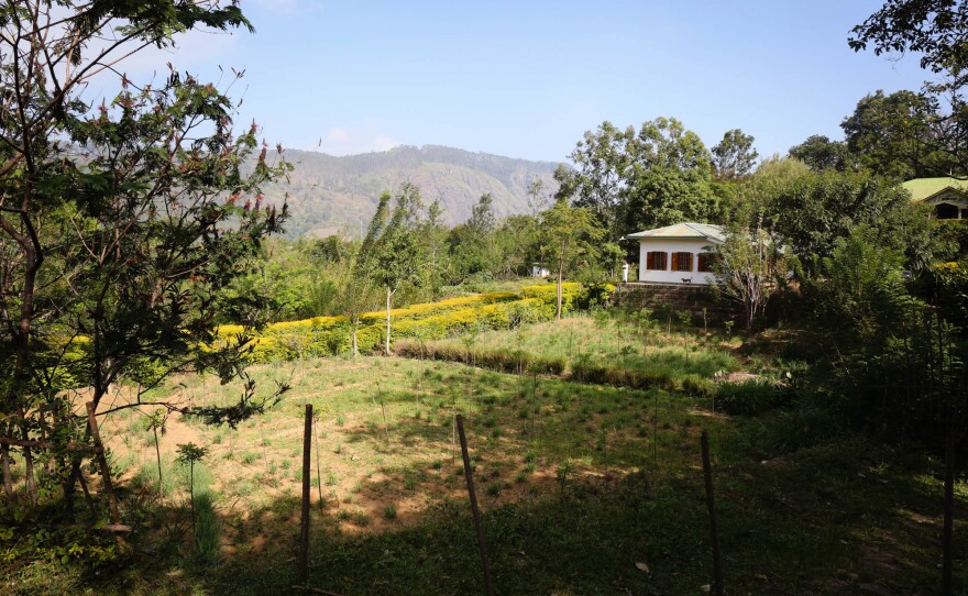 Amba Estate, a 26-acre tea plantation in Sri Lanka, shares 10 percent of its revenue with its workers.