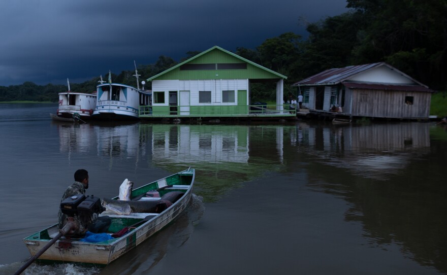 A riverside fisherman arrives in his canoe with pirarucus in Lake Amanã on Nov. 15.