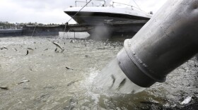 Young salmon that have been transported by tanker truck from the Coleman National Fish hatchery are loaded into a floating net suspended on a pontoon barge at Mare Island, Calif., April 24, 2014.