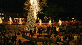 SanteeTreeLighting.jpg