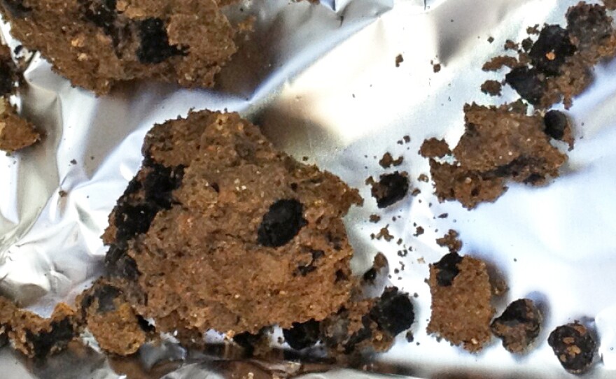 The world's oldest domesticated fava seeds which were found at Ahihud. The black spots inside the brown dirt are the beans.