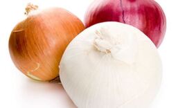 A salmonella outbreak impacting more than 30 states and sickening over 600 people in the U.S. are being linked to onions imported from Chihuahua, Mexico.