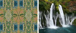 nature_embraced-crop-cal.jpg