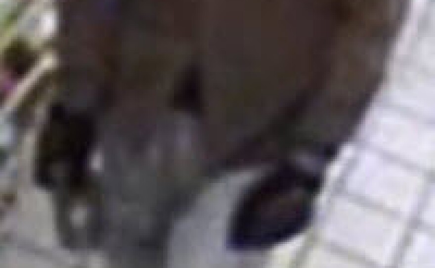 A photo of the suspect San Diego police say is responsible for attacks on four homeless men, two of which were fatal.