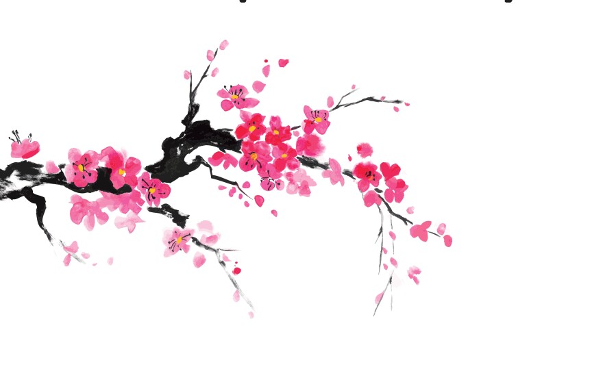 The cover of "Soulful Simplicity: How living with less can lead to so much more" is pictured.