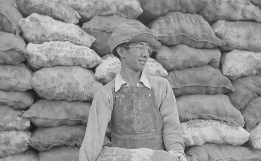 A young field worker loads potatoes grown on the farm of the Tule Lake incarceration camp