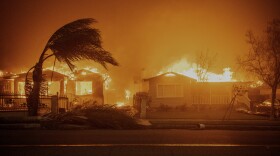 Trees sway in high winds as the Eaton Fire burns structures in Altadena, on Jan. 8, 2025.
