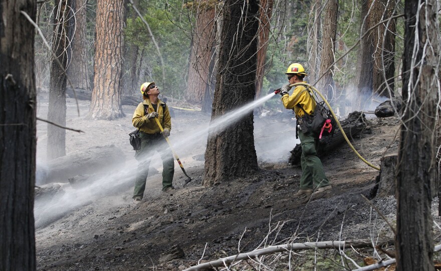 San Bernardino National Forest service fire fighter's Logan Costello, left and Andy Duran, mop up a back burn near General Grant tree at Grant Grove in Kings Canyon National Park, Calif., on Saturday.