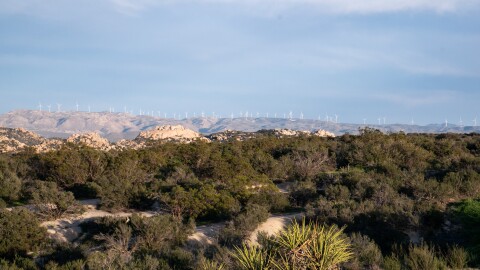 Wind turbines trail off in the horizon looking east in Boulevard, March 6, 2026.