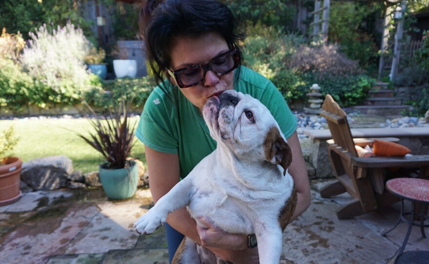 Colleen Thilgen has three bulldogs at her home in Oakland, Calif. and says due to their health issues, bulldogs require an involved owner.