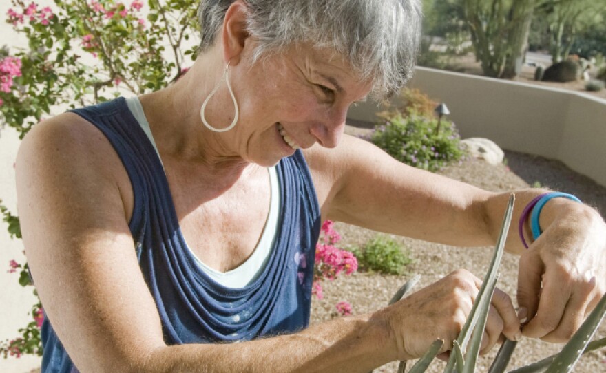 Suzi Hileman inspects an aloe on her front porch on Wednesday, Aug. 24. 