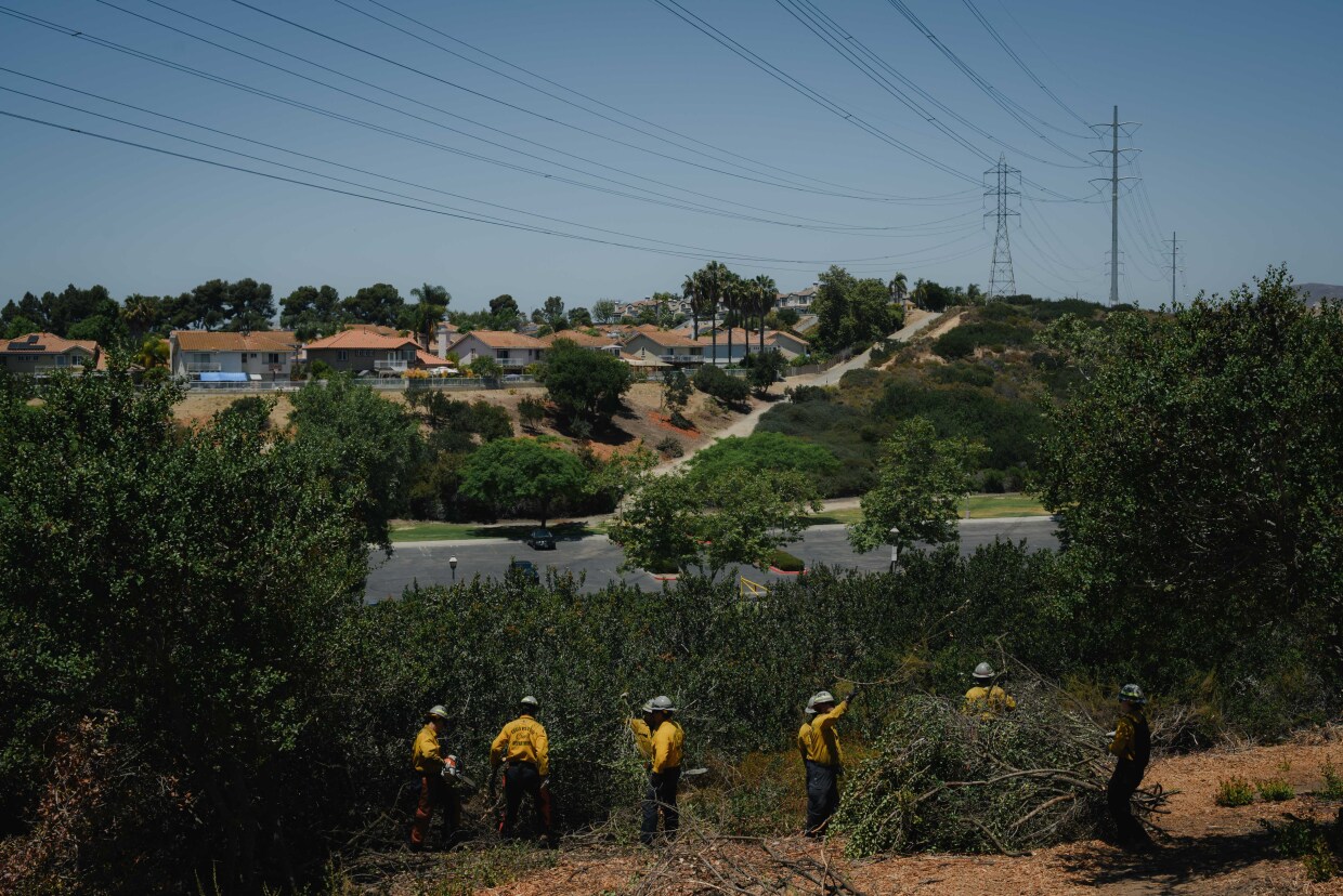 Chula Vista’s new fuels crew clears a section of overgrown lemonade sumac next to an apartment complex in the canyon beside Kumeyaay Park on June 25, 2024. The three-year program was launched in 2023 and is focusing on the most dangerous canyons.