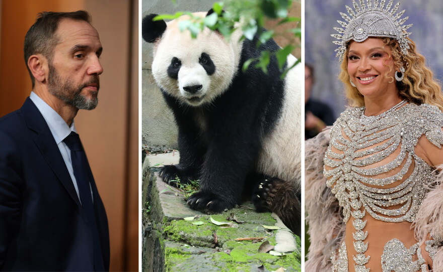 From left: Jack Smith, a new panda, Beyoncé.