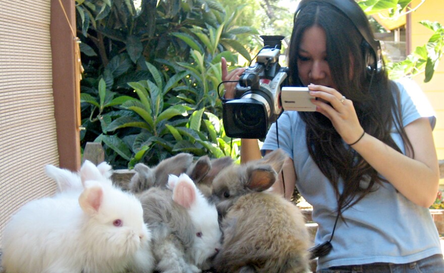 "Rabbit Fever" director Amy Do filming rabbits.
