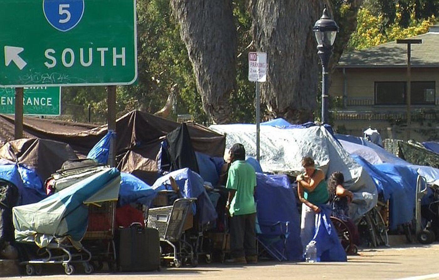 Homeless more likely to be crime victims and perpetrators in San Diego