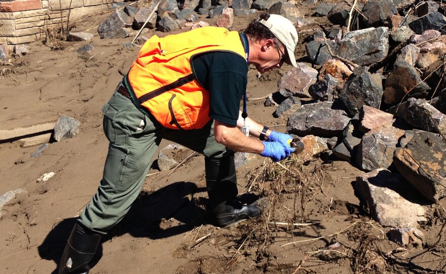 USGS scientist Geoff Plumlee samples mud and debris along Left Hand Creek in Longmont, Colo., for toxic metals that may have washed down from mines in the mountains.