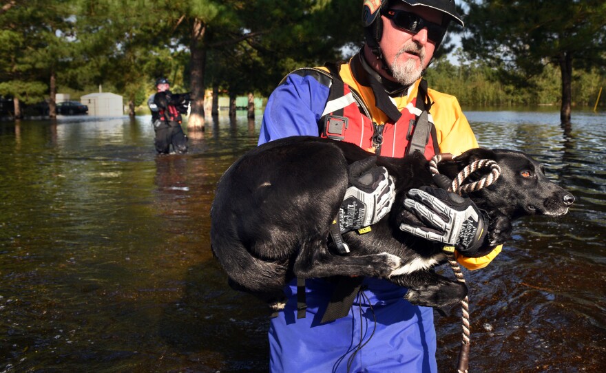 Held carries a nervous dog rescued from floodwaters in North Carolina's Lumberton area.