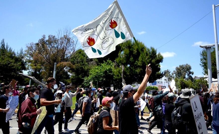Luisa Martínez marches during a recent protest. The cross-border artist designed the flag pictured.