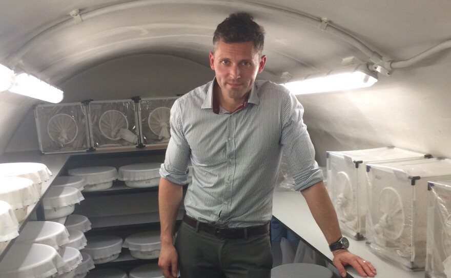 Dr. James Logan, an entomologist, studies mosquitoes from around the world in an effort to make them less dangerous. The London School of Hygiene and Tropical Medicine keeps them in a cavern beneath the streets of London. They bowls contain mosquito larvae in water while the boxes are where the adults live.