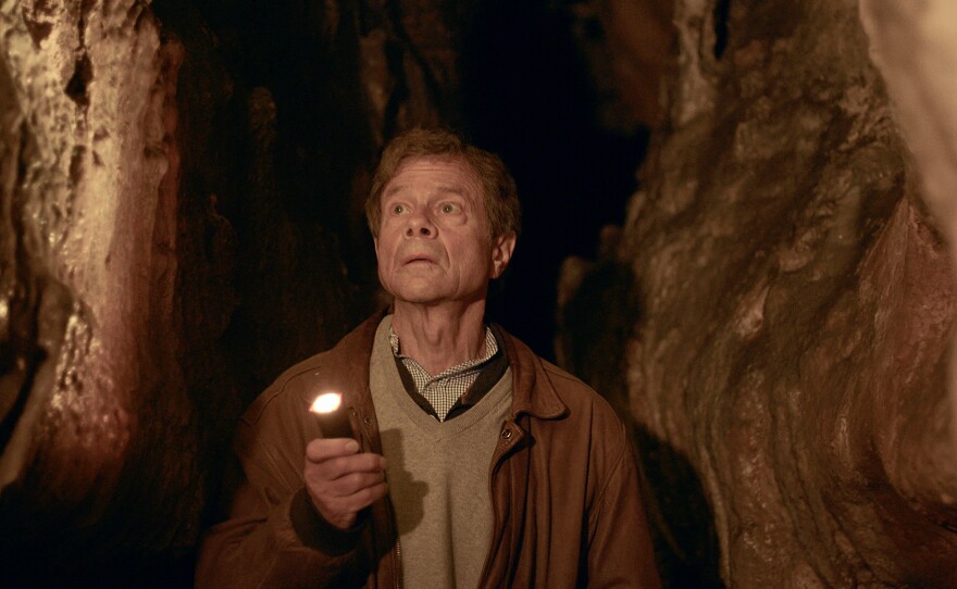 Physicist and best-selling author Alan Lightman finds beautiful paintings of bison and symbols made by humans thousands of years ago in a cave near Les Eyzies in the Dordogne, France.