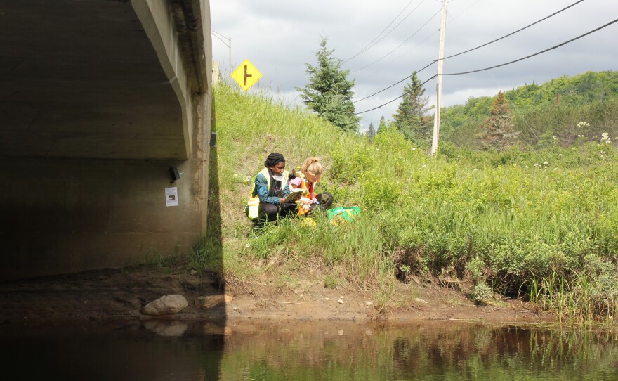 Environmental research students Jaynina Deku and Valérie Bolduc install motion-activated wildlife cameras to track animals approaching and passing through the culvert. The white sign explains the purpose of the equipment to dissuade thefts or vandalism of the cameras, which will remain on site for many months.