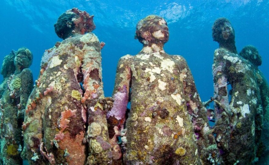 Taylor's Vicissitudes, after it began to accumulate coral.