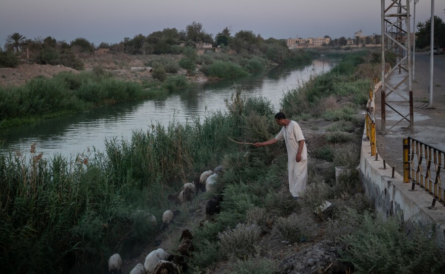 A shepherd herds his flock of sheep on the banks of the Euphrates River. The river divides forces loyal to the new Syrian government and those who support the U.S.-backed Syrian Democratic Forces. Deir al-Zour, Syria. August 21, 2025