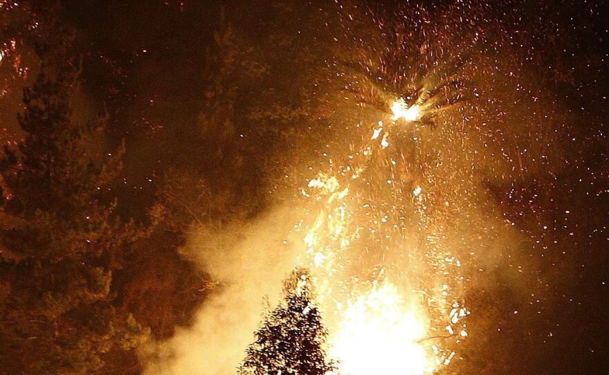 Flames engulf trees on the outskirts of Valparaiso on Saturday.