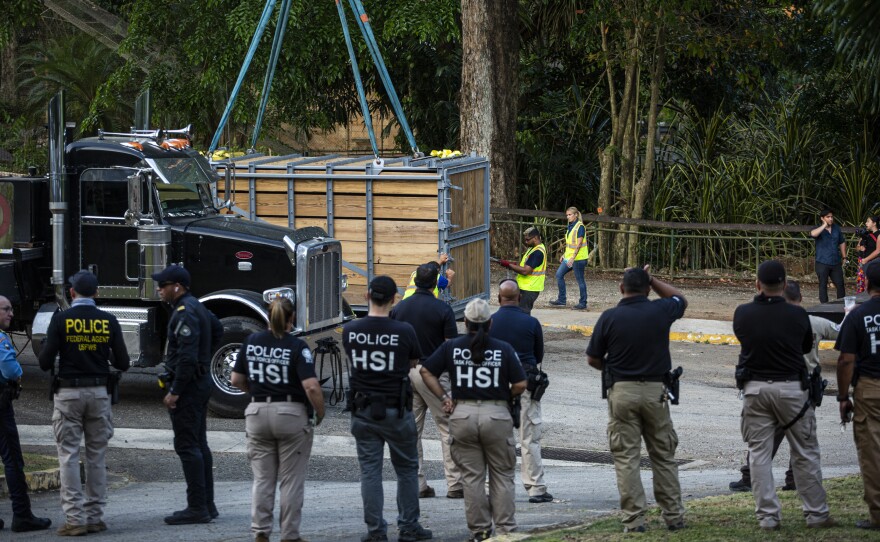 Armed federal agents were on hand for Mundi and the other animals' transfer to the airport after tensions flared in the days leading up to the May 12 flight.