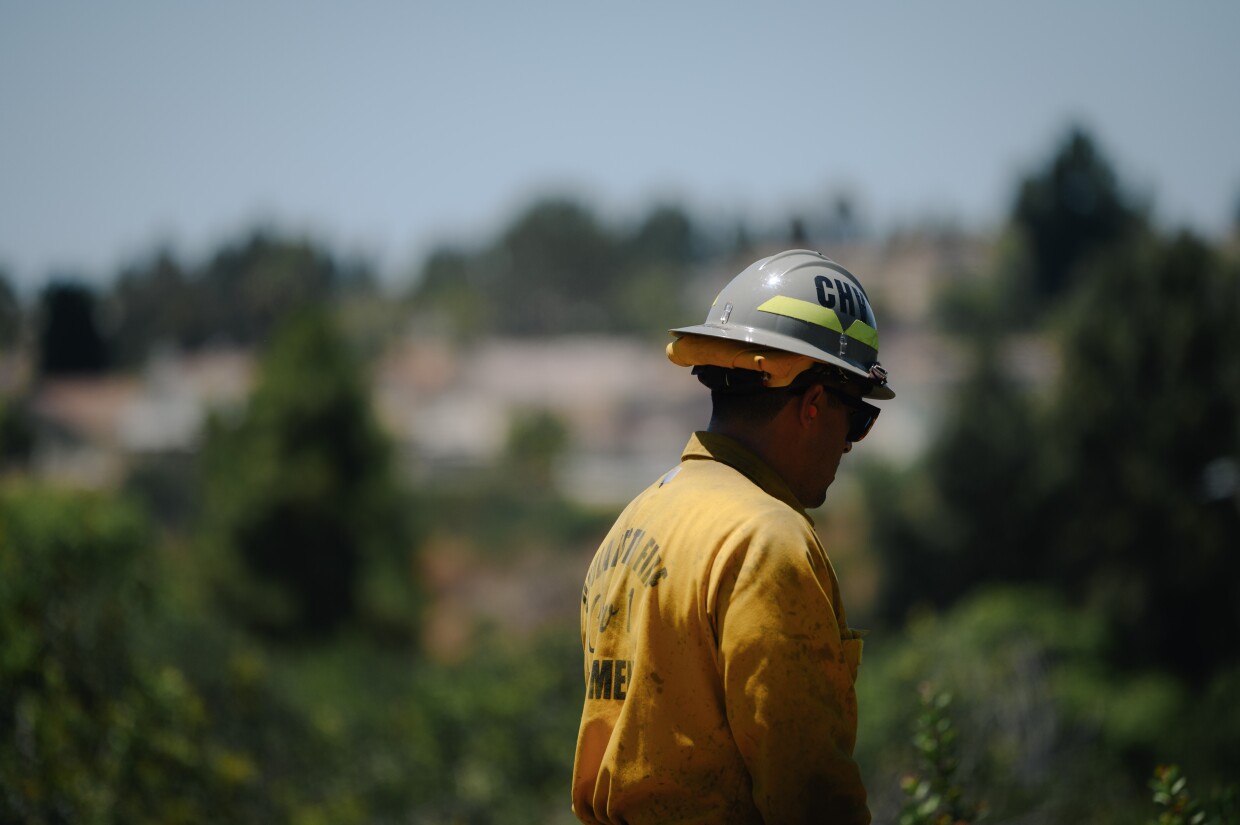 A firefighter with Chula Vista’s new fuels crew works to clear a section of overgrown lemonade sumac in the canyon next to Kumeyaay Park on June 25, 2024. The three-year program was launched in 2023 and is focusing on the most dangerous canyons.
