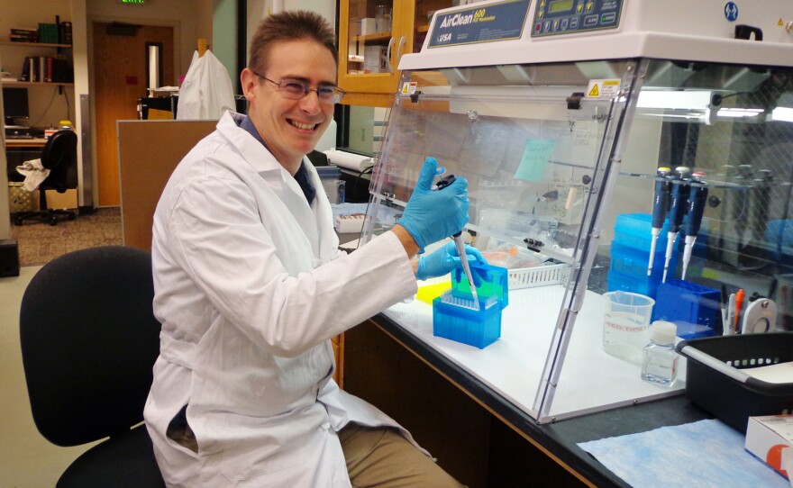 Rob Knight, co-founder of the American Gut Project at the University of Colorado in Boulder, works in the lab where the samples are processed.