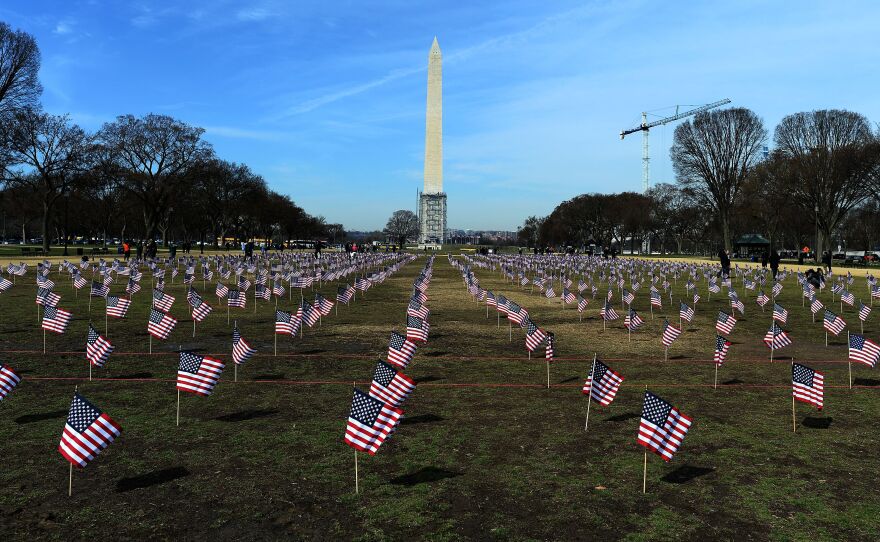 Some 1,892 American flags are installed on the National Mall in Washington, DC in 2014. The Iraq and Afghanistan veterans installed the flags to represent the 1,892 veterans and service members who committed suicide this year as part of the "We've Got Your Back: IAVA's Campaign to Combat Suicide."