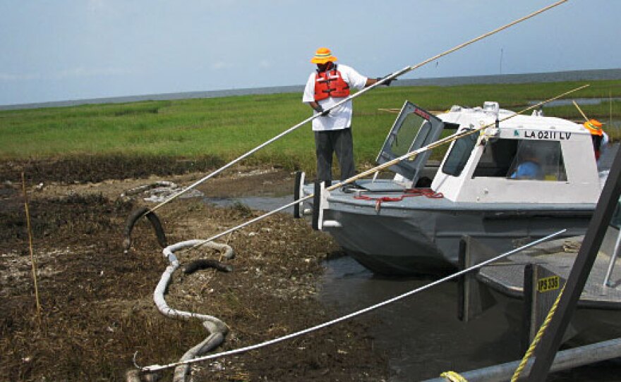 A BP contractor uses a piece of absorbent boom to try to sop up oil from a marsh near Cocodrie, La. An NOAA contractor says this technique is not approved and will cause more harm than good to Louisiana's fragile marshes. But this worker's boss defends the technique.