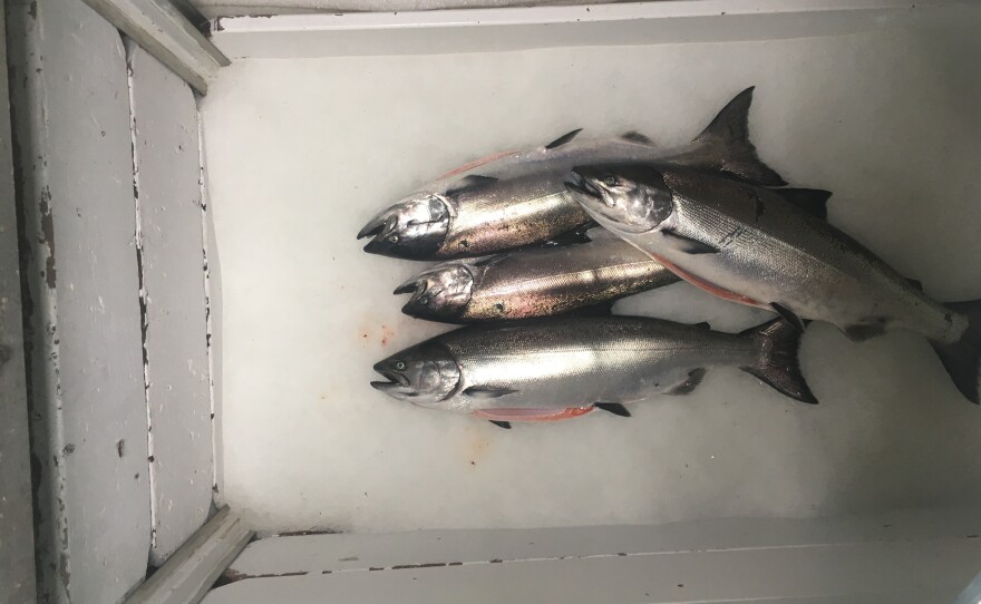 Fish (pictured). Best-selling author and lifelong fisherman Paul Greenberg sets out to answer the question “What fish should I eat that’s good for me and good for the planet?” As part of his quest to investigate the health of the ocean — and his own — Greenberg spends a year eating seafood at breakfast, lunch and dinner.