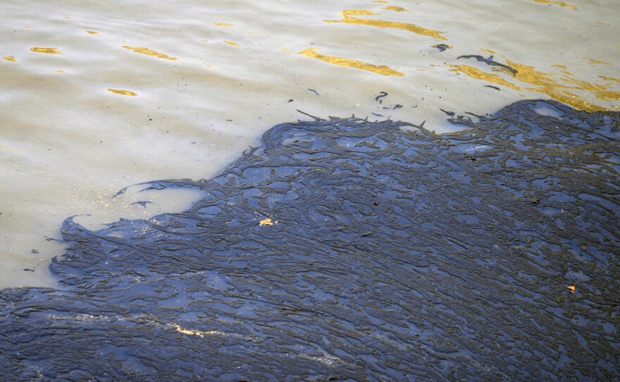 Oil floats in the water off Cavero beach on Tuesday.