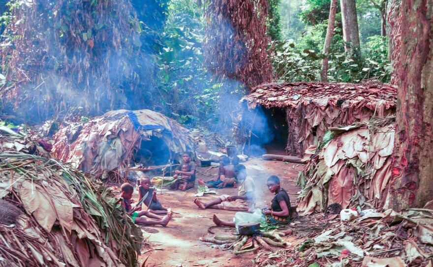 The Mbendjele people, who live in the northern rainforests of the Republic of Congo, acquire their food primarily by foraging, hunting and fishing. A study has found that in their community, children have many hands-on caregivers in addition to mom and dad.