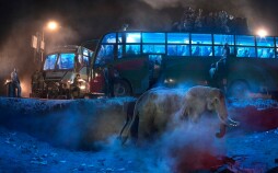 nick-brandt-bus-station-with-elephant-in-dust.jpg