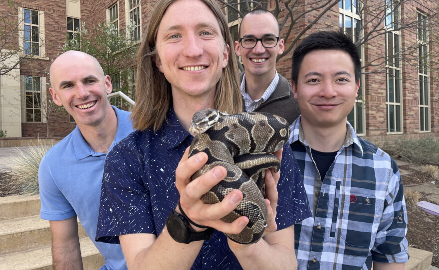 Molecular biologist Skip Maas holds his pet ball python Agrapina alongside fellow python researchers Jack Gugel (left), Tommy Martin (right) and Yuxiao Tan (far right), in Boulder, Colo.