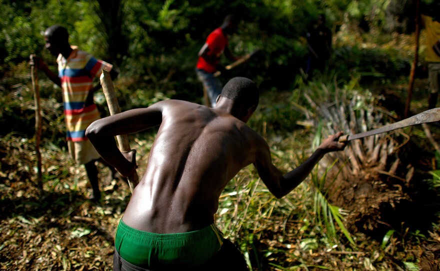 A worker clears the jungle near the school to make way for ambulances arriving at the community care center.