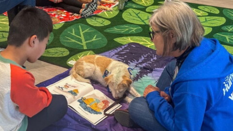 Reading to Dogs