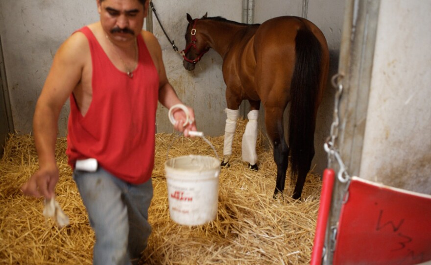 Mario Muñoz grooms a horse in the stables of the Bay Meadows racetrack.