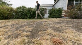 Michael Korte walks on the brown lawn of his Glendora, California home, July 17, 2014.