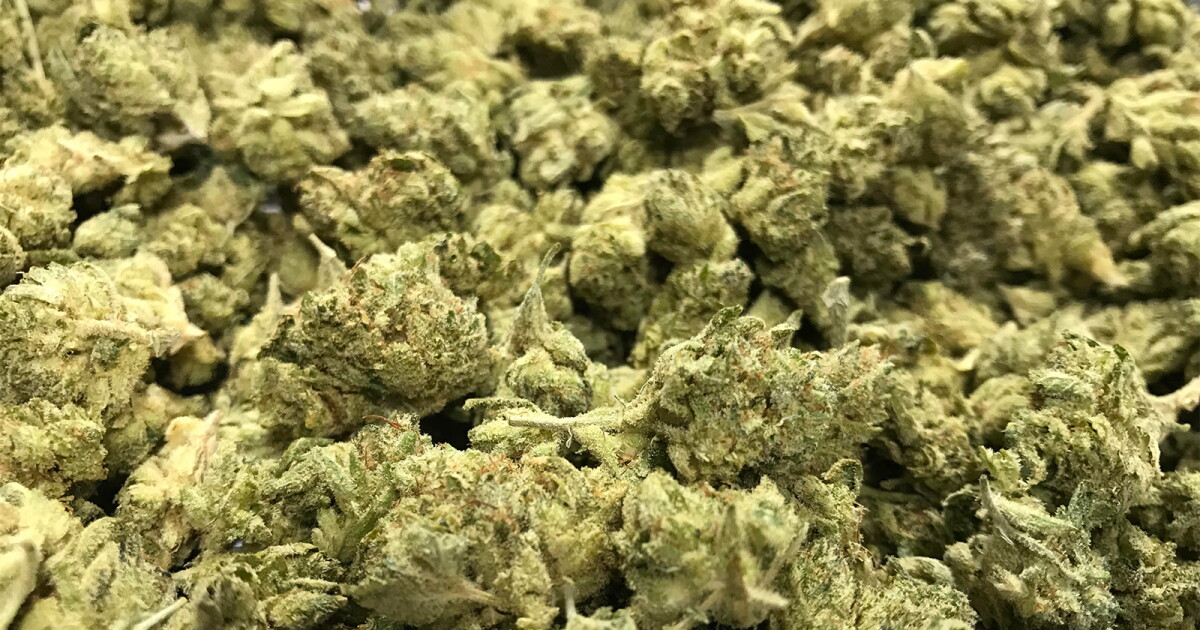 San Diego’s 10% cannabis business tax comes up short San Diego’s 10% cannabis business tax comes up short