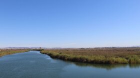 The Colorado River, west of Yuma, Arizona, before it reaches Morelos Dam on the U.S.-Mexico border. 