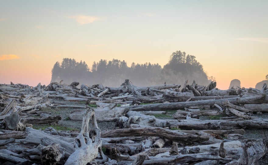 Olympic National Park in Washington state was park #16.