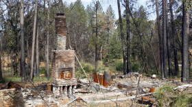 In this Aug. 21, 2019, file photo, burned trees surround the burned-out remains of a home destroyed by the 2018 Camp Fire in Paradise, Calif. 