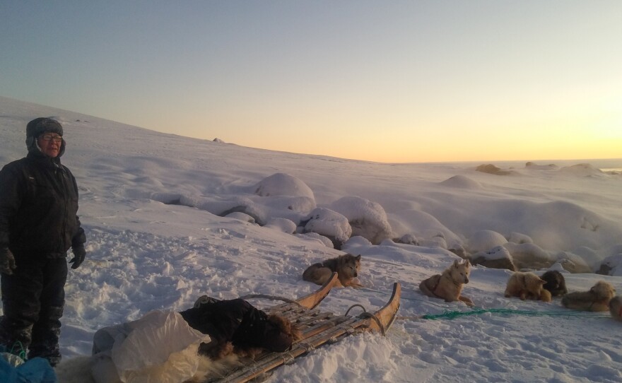 Isak Pike, 60, has lived in Ittoqqortoormiit his entire life. He hunts the traditional Inuit way, by dogsled. Here, he and his dogs rest at a hot spring at Kap Tobin, a starting point for hunters tracking seals, polar bears and other animals.
