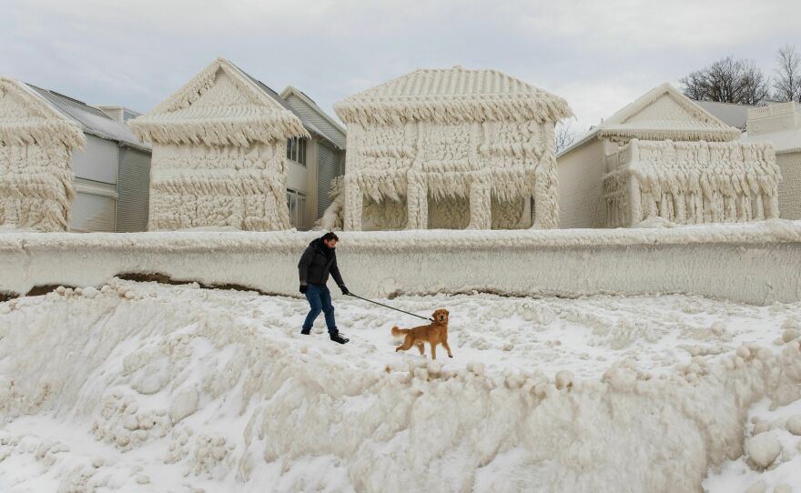 A person and dog walk by homes covered in ice at the waterfront community of Crystal Beach in Fort Erie, Ontario, Canada.