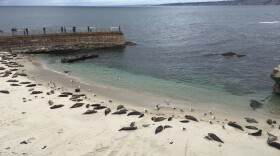 The Children's Pool in La Jolla is shown in this photo, March 5, 2017.