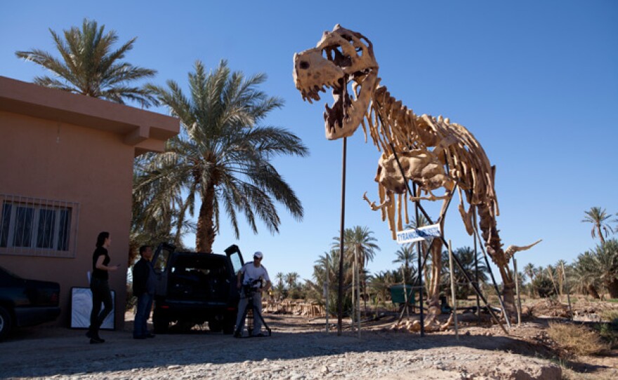 Dinosaur fossil outside museum in Erfoud, Morocco.
